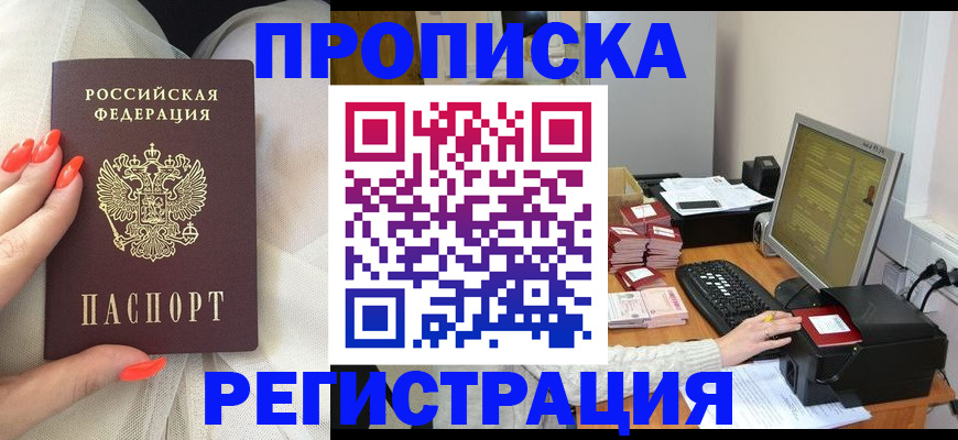 где прописаться в Звенигово